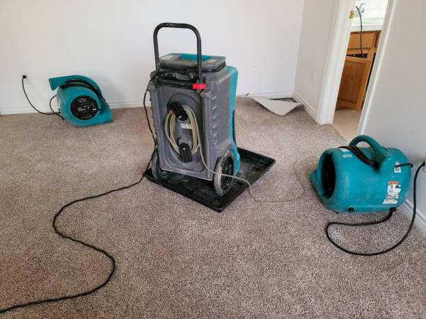  Sterling, CO Water damage restoration Pros