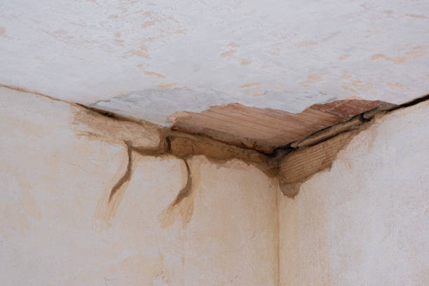 Best Basement water damage restoration  in Sterling, CO
