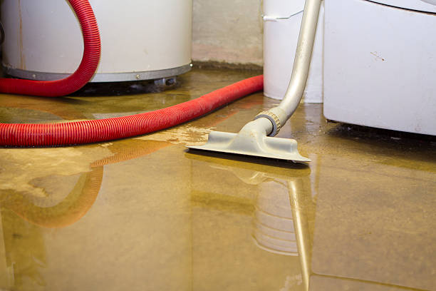 Best Water damage restoration near me  in Sterling, CO