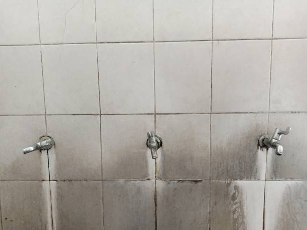 Best Mold removal after water damage  in Sterling, CO